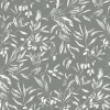 Aceituna Celadón - Coordonné