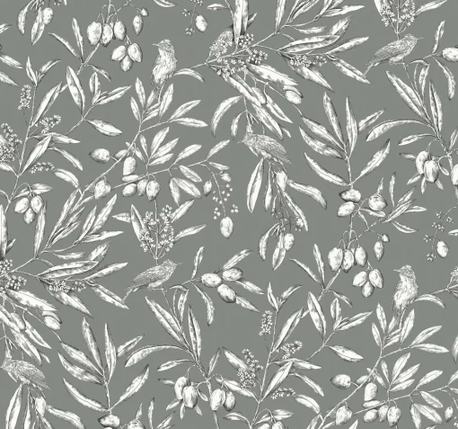 Aceituna Celadón - Coordonné