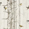 Birch Trees Beige - Coordonné