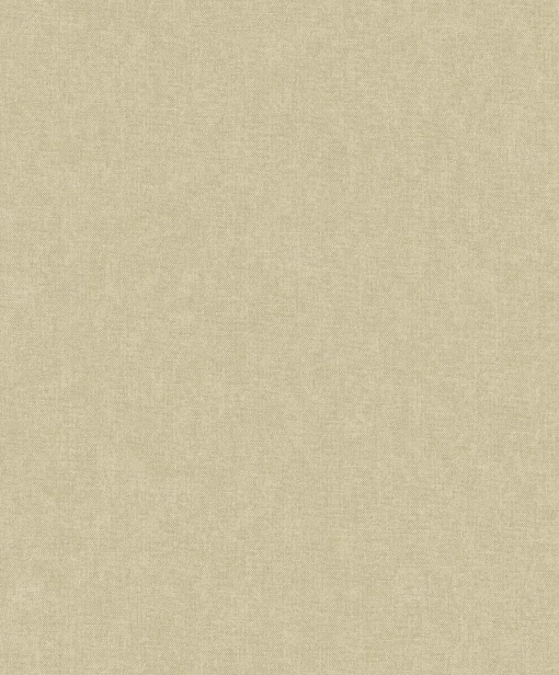 Blended Light Camel - Coordonné