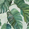 Carioca Green - Coordonné