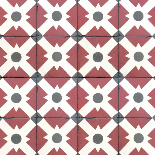 Celosia Clay - Coordonné