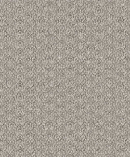 Celular Concrete - Coordonné