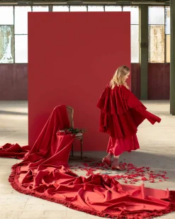 Clavel - Coordonné