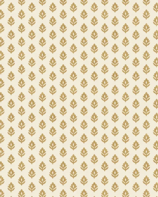 Clover Curry - Coordonné
