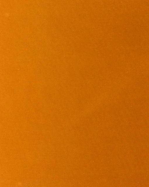 6701421 - Coordonné