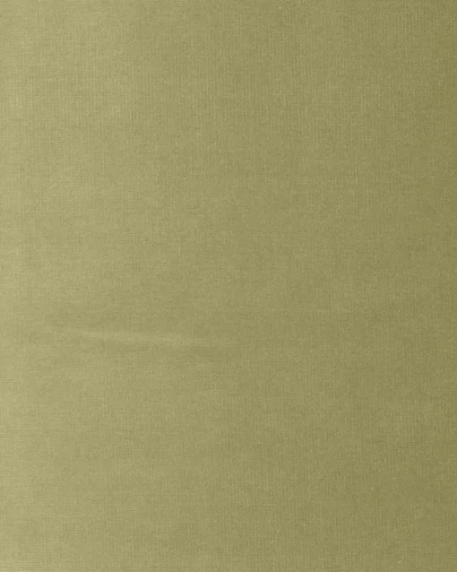 6706802 - Coordonné