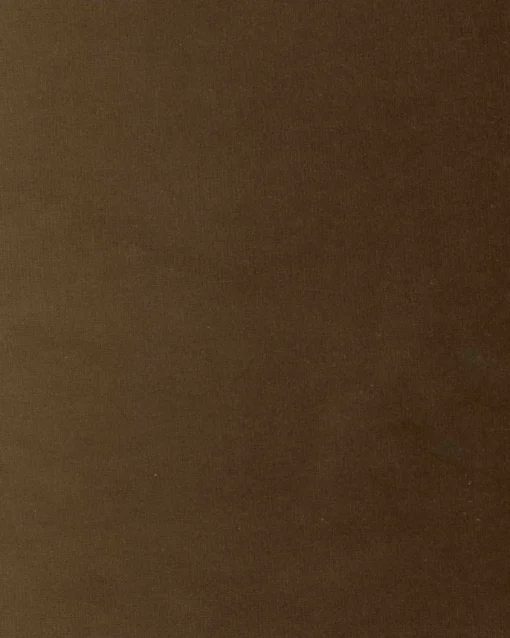 6707750 - Coordonné