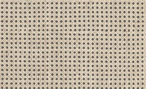 9800002 - Coordonné