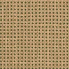 9800007 - Coordonné