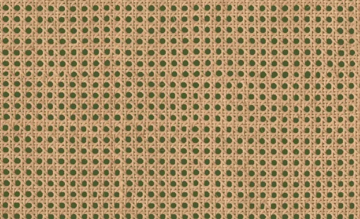 9800007 - Coordonné
