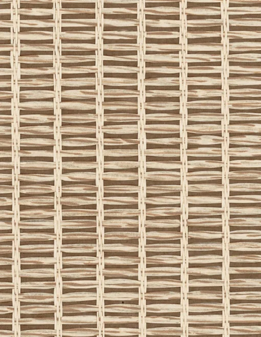 9800018 - Coordonné