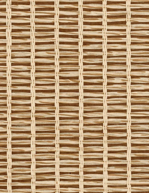 9800019 - Coordonné