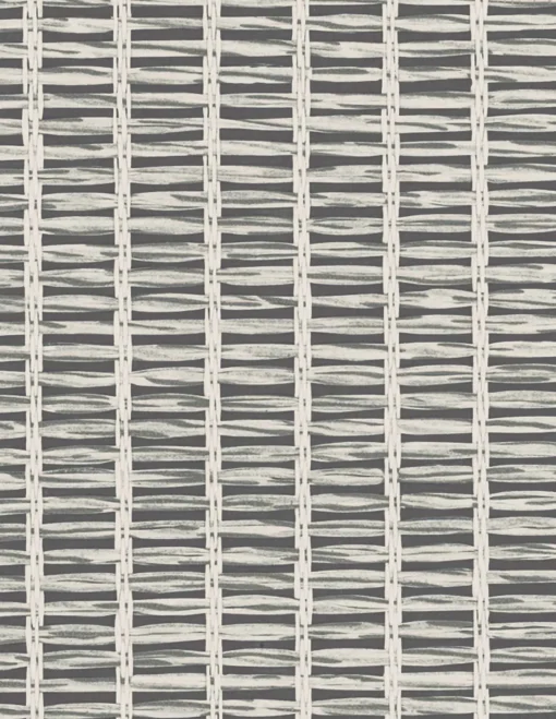 9800022 - Coordonné