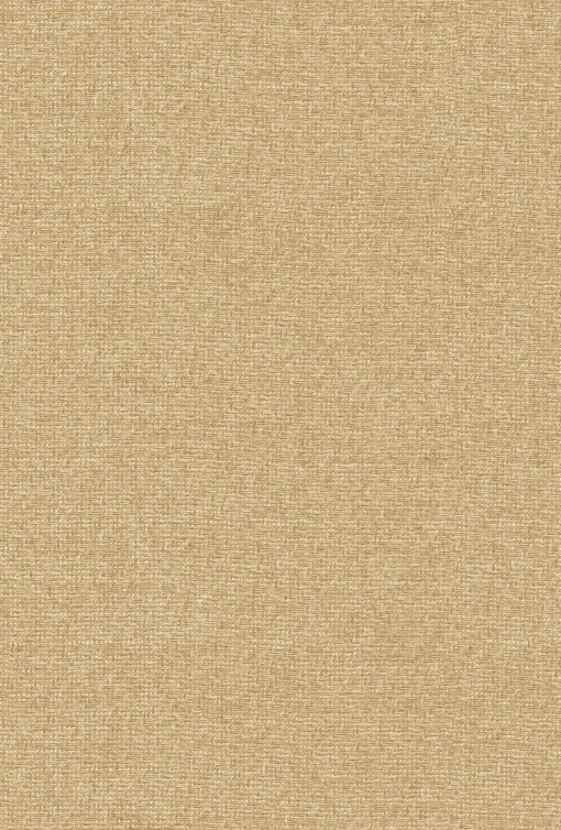 9800025 - Coordonné