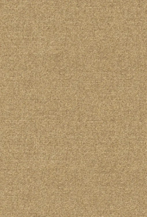 9800026 - Coordonné