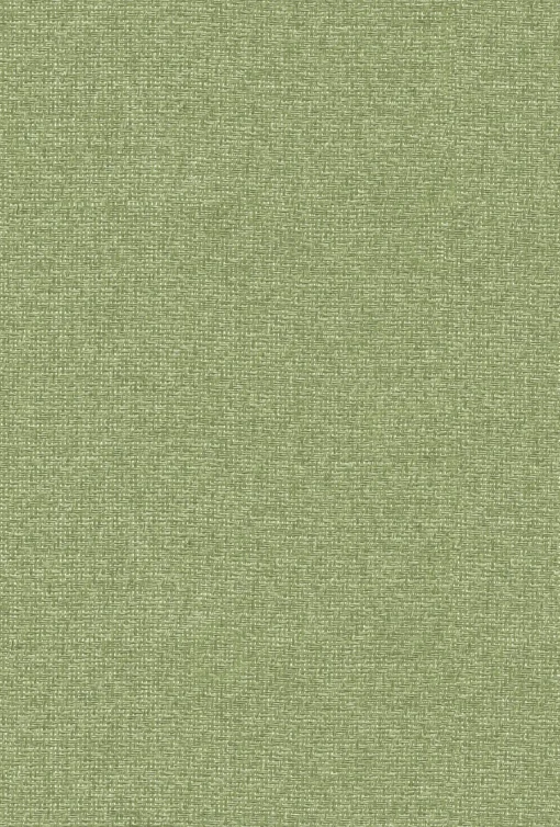 9800033 - Coordonné