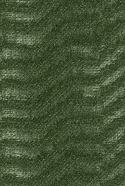 9800034 - Coordonné