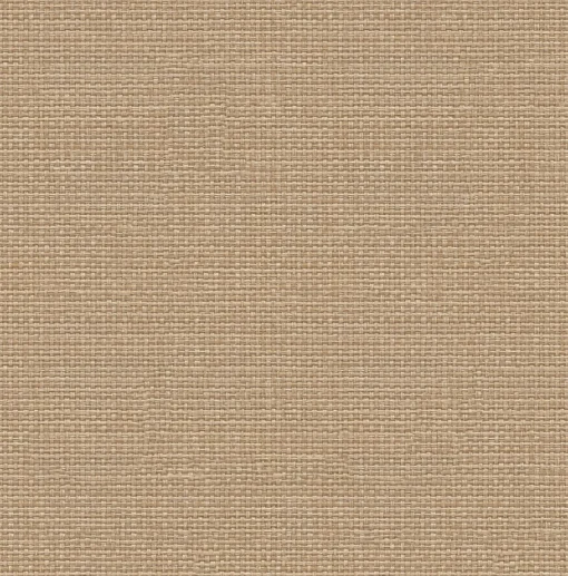 9800062 - Coordonné