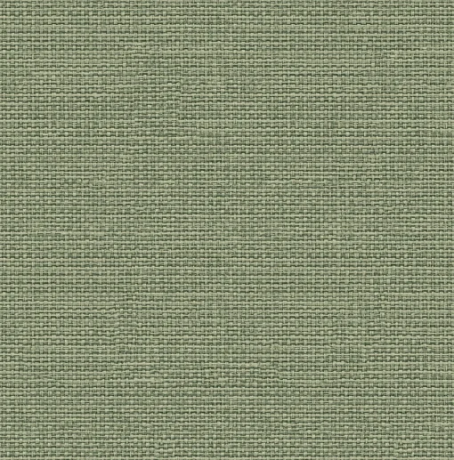 9800063 - Coordonné