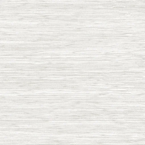 9800068 - Coordonné
