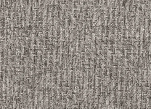 9800079 - Coordonné