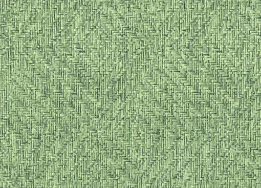 9800081 - Coordonné