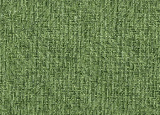9800082 - Coordonné