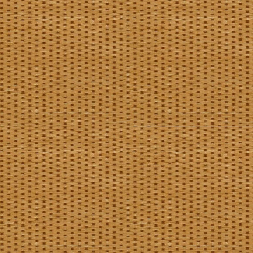 9100003 - Coordonné