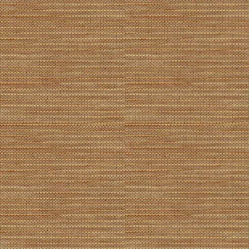 9100008 - Coordonné