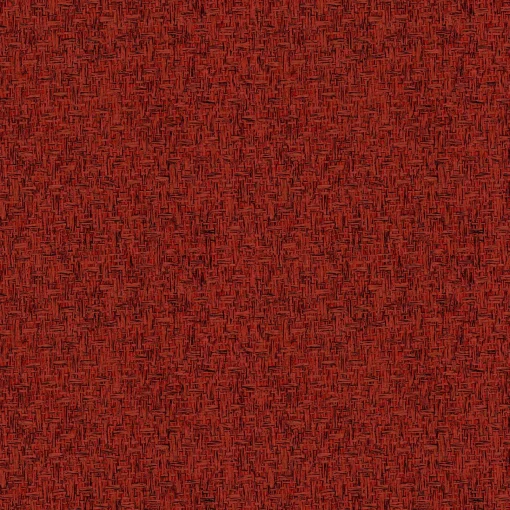 9100009 - Coordonné