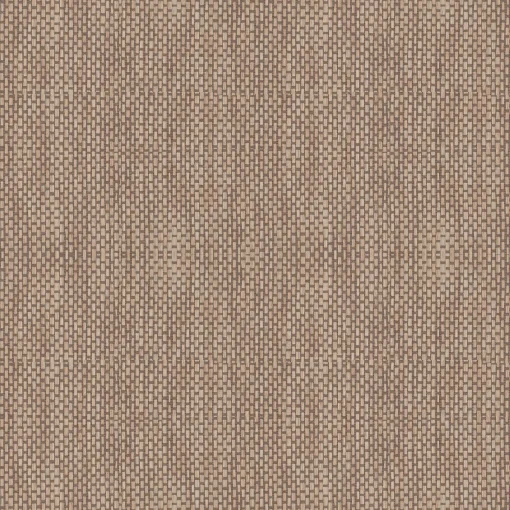 9100007 - Coordonné
