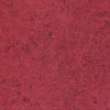 9100213 - Coordonné
