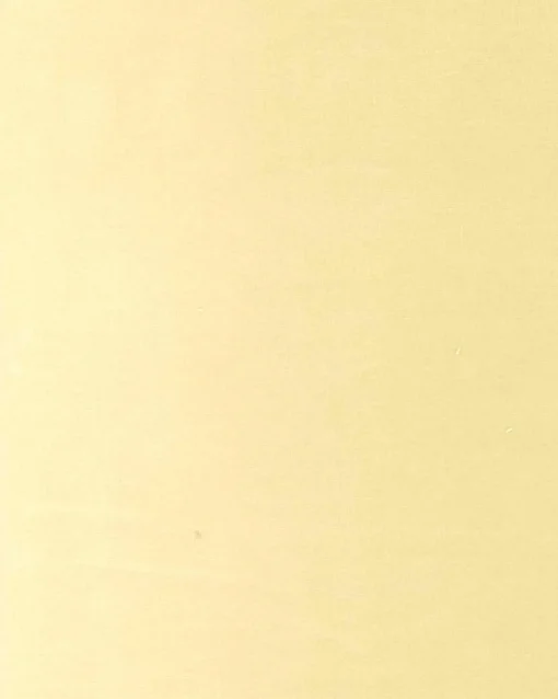 6704302 - Coordonné