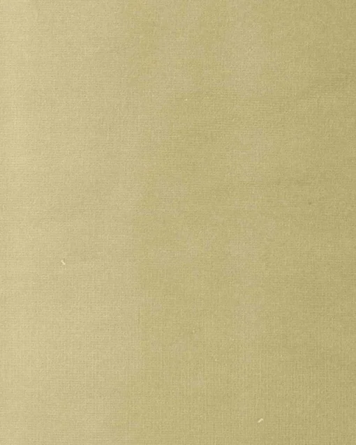 6704422 - Coordonné