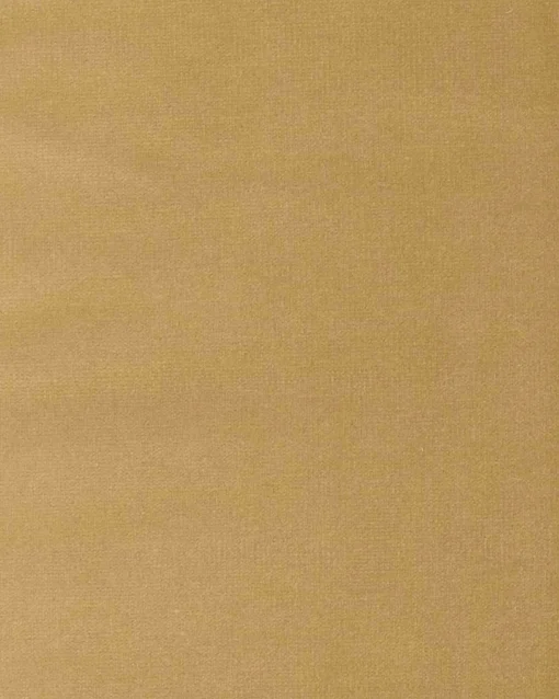 6704434 - Coordonné