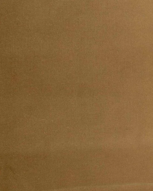 6704700 - Coordonné