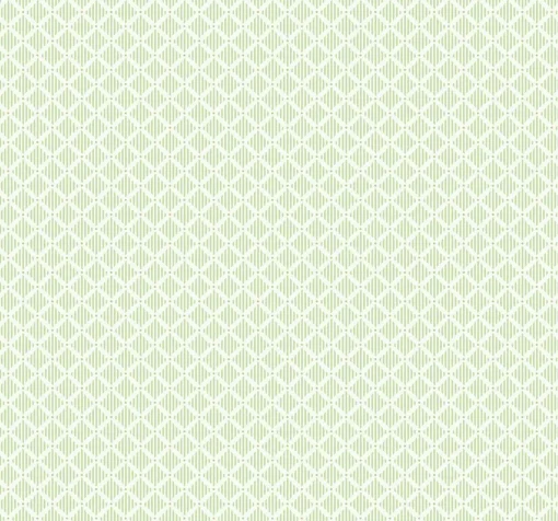 Corset Mint - Coordonné