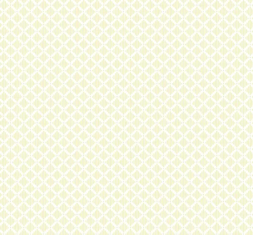 Corset Vanilla - Coordonné