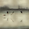 Doñana Gold - Coordonné