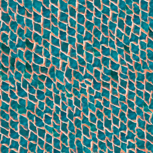 Fish skin Original - Coordonné