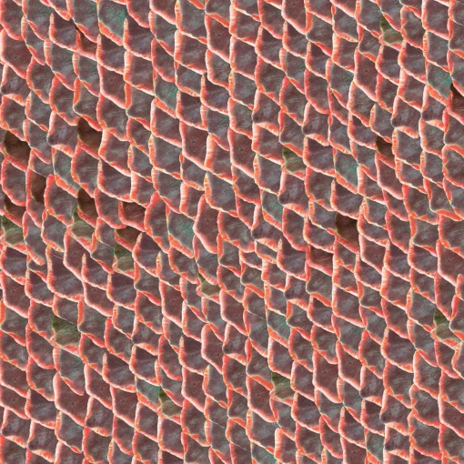 Fish skin Red - Coordonné