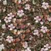 Floral Tapestry Lilac - Coordonné
