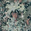 Forêt Winter - Coordonné