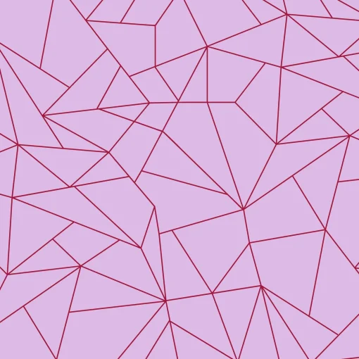 Fractalisimi Rosa - Coordonné