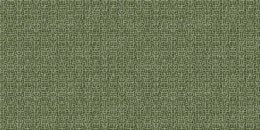 Geometricum Moss - Coordonné