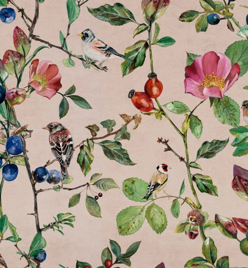 Goldfinch Song Blush - Coordonné