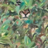 Hidden Puma Spring - Coordonné