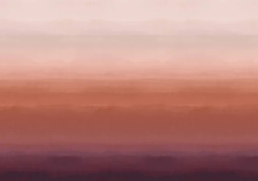 Hinode Prune - Coordonné