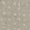 Kanoko Cloud - Coordonné